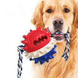 Dog Treat And Tooth Cleaning Toy