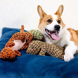 Squeaky  Chew Dog Toys