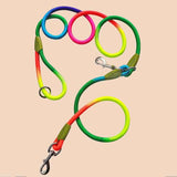 Hands Free Colorful Dog Leash