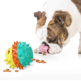 Dog Treat And Tooth Cleaning Toy