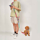 Hands Free Colorful Dog Leash